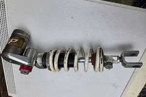 scaled_1000107710.jpg