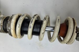 scaled_1000107713.jpg